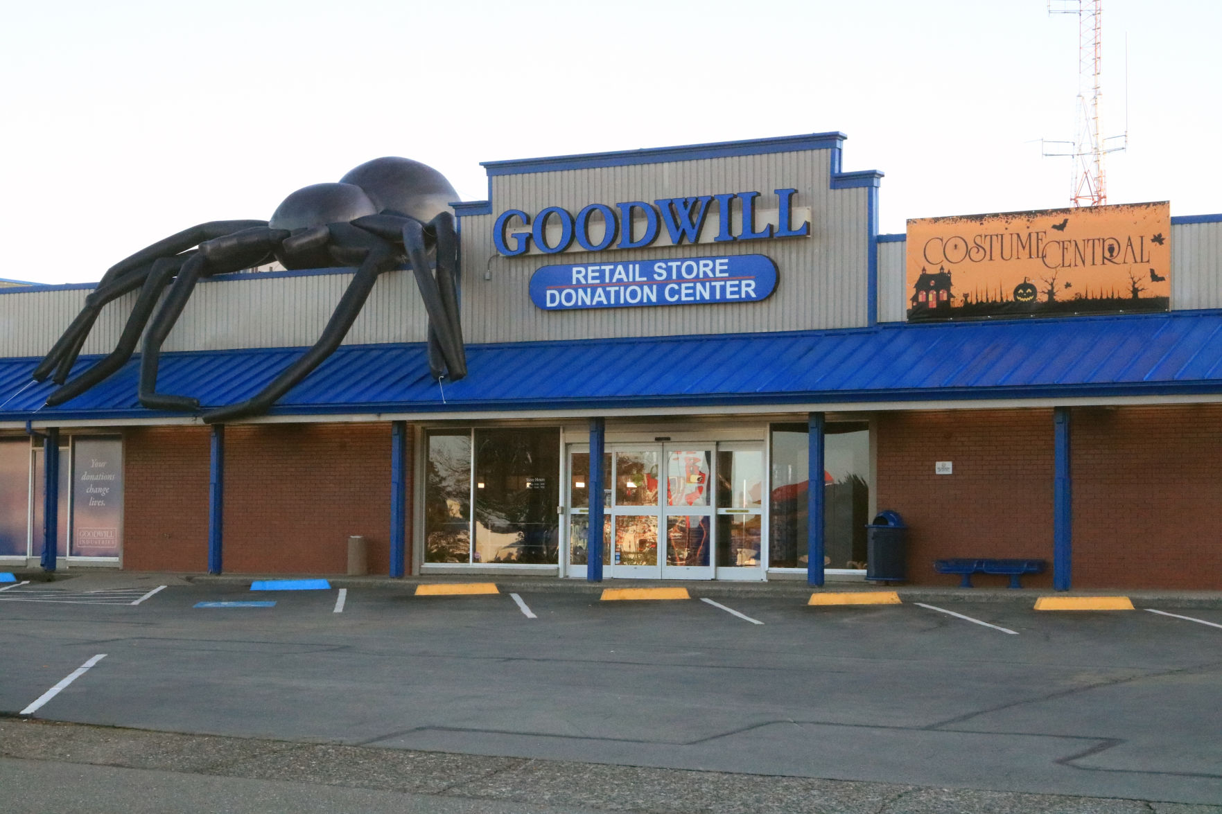 Goodwill Spider
